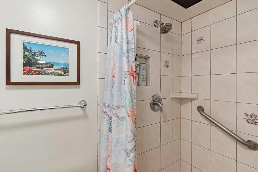 Kamaole Nalu, #202 Condo Kihei Apartment